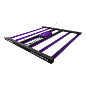 Cortuled Evo 600 – El Equilibrio Perfecto