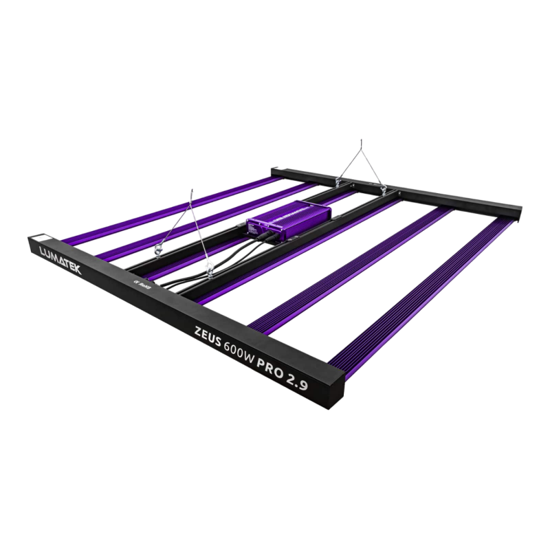 Cortuled Evo 600 – El Equilibrio Perfecto